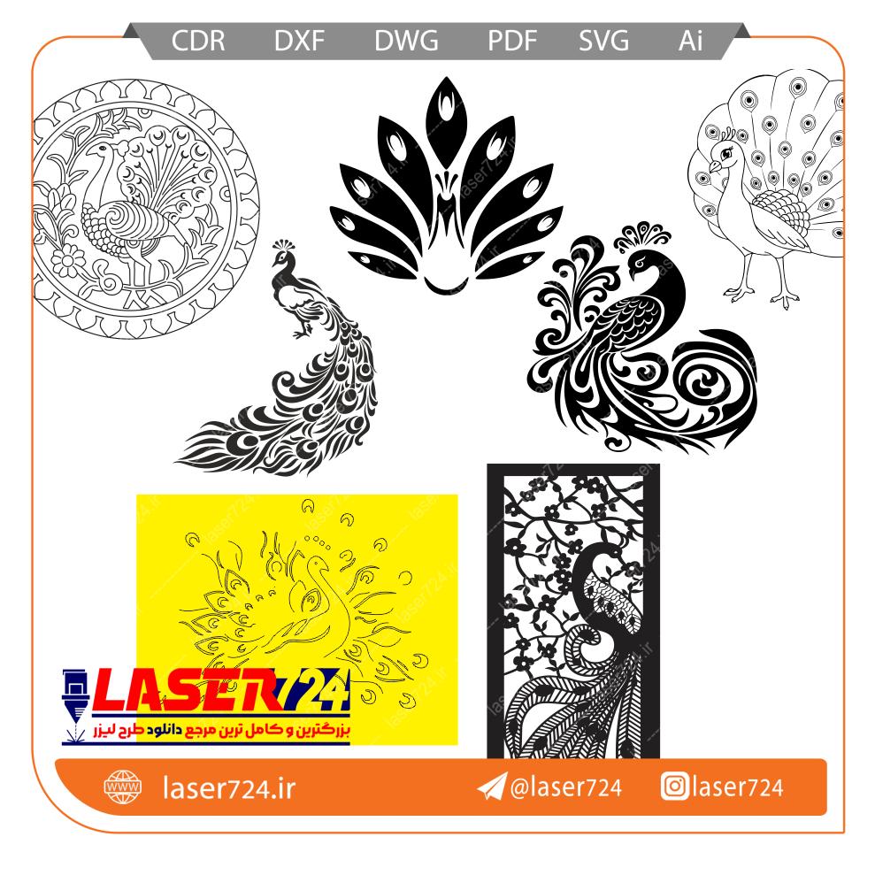 تصویر وکتور و استیکر طاووس #1